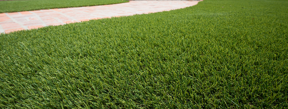 grass turf in Pittsburgh, PA